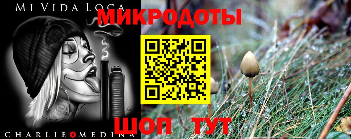 Псилоцибиновые грибы Cubensis Тайшет